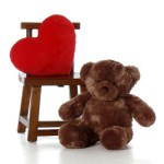 2.5 Feet Fat and Huge Brown Teddy Bear